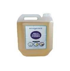 MULTI SURFACE CLEANER
